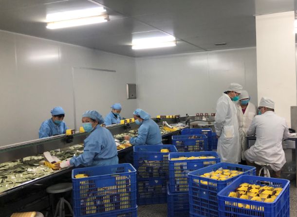 【初心如磐，使命在肩】gopay钱包第三党支部组织员工提前复工包管生产