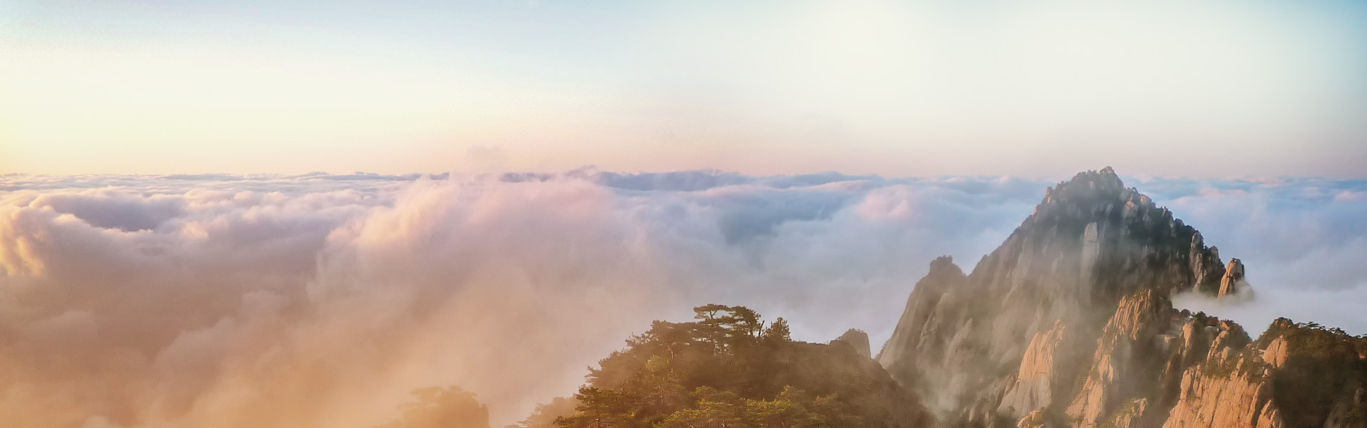 gopay钱包 -高效数字钱币支付工具