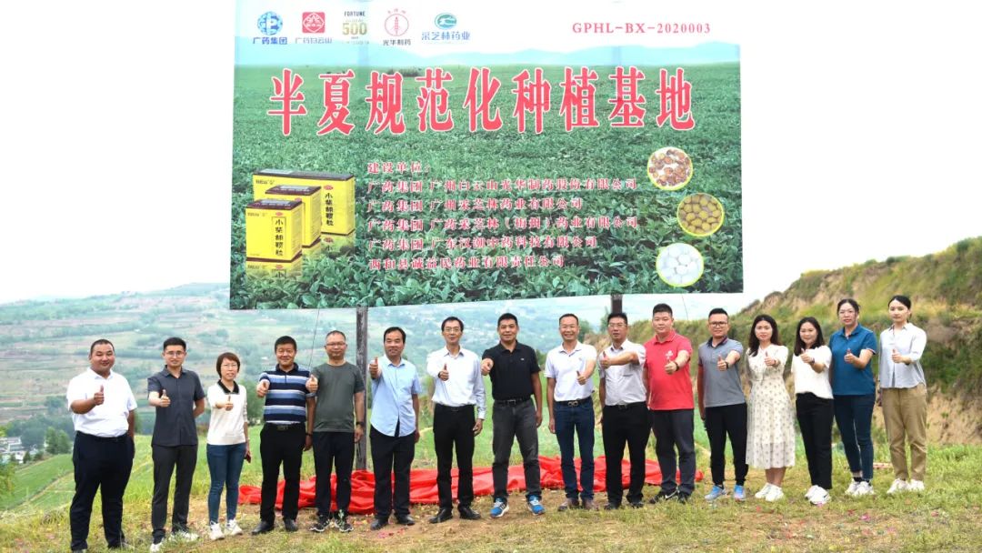 白云山gopay钱包公司实地考察调研中药材规范化基地